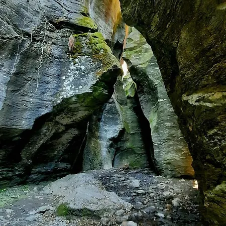 Apartman Casa Milia *